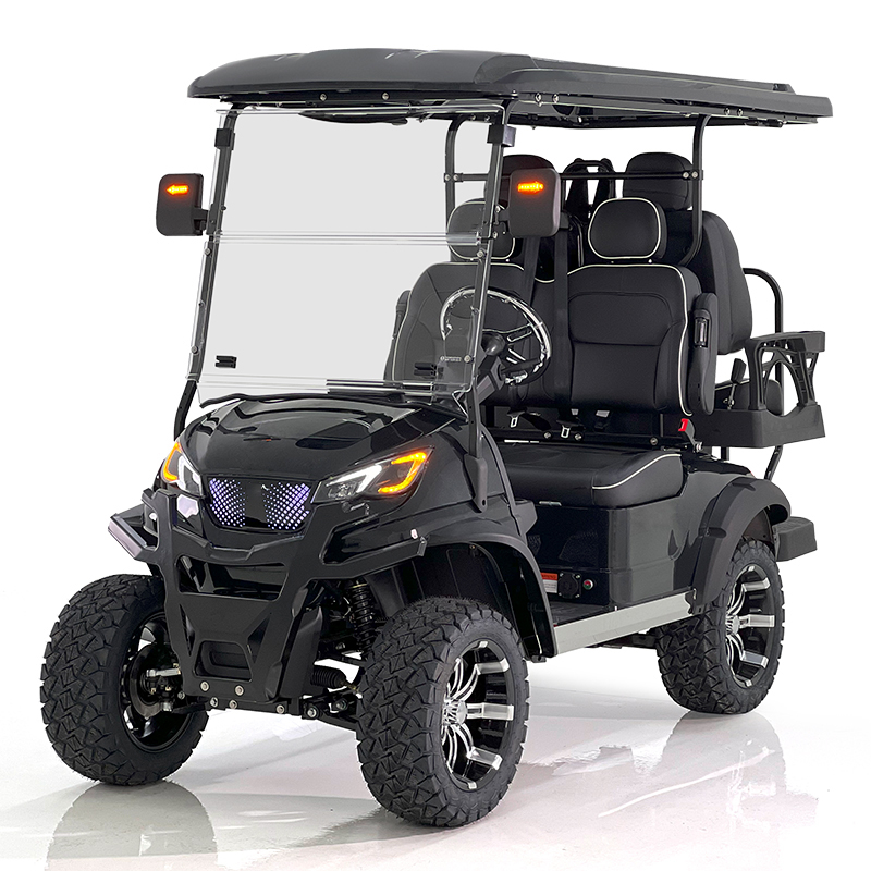 Aerfa 2+2 Seats Golf Cart Black