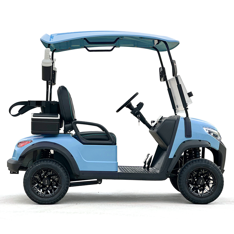 Style C 2 seats golf cart sky blue