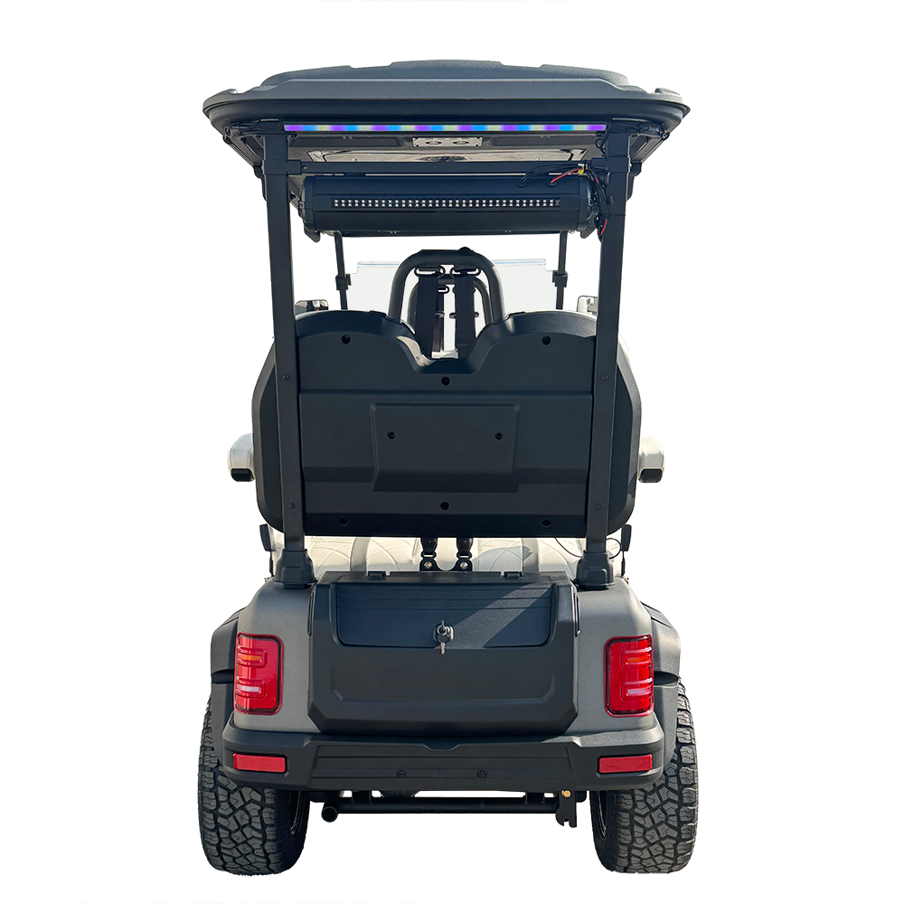  Style H 4 Seats Golf Cart gray
