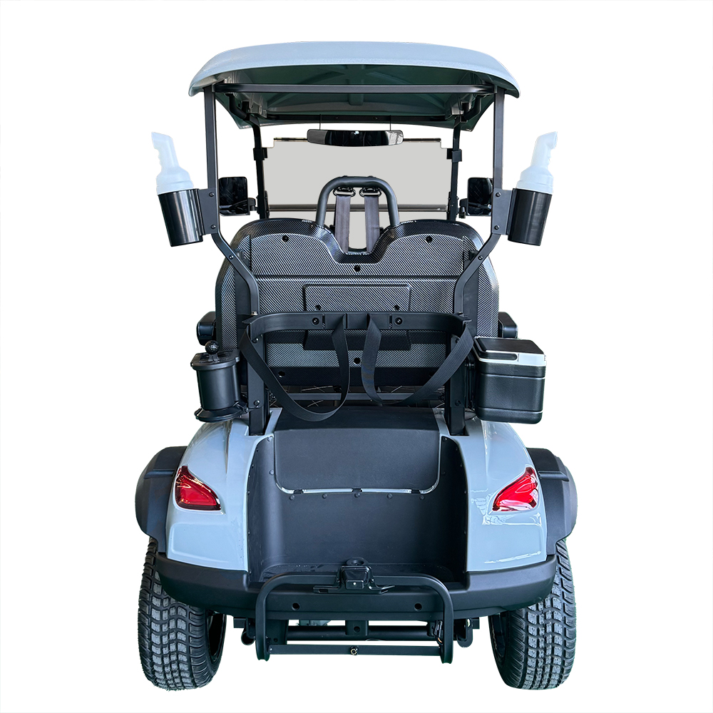 Style BOX 2 Seats Golf Cart Dusty Blue