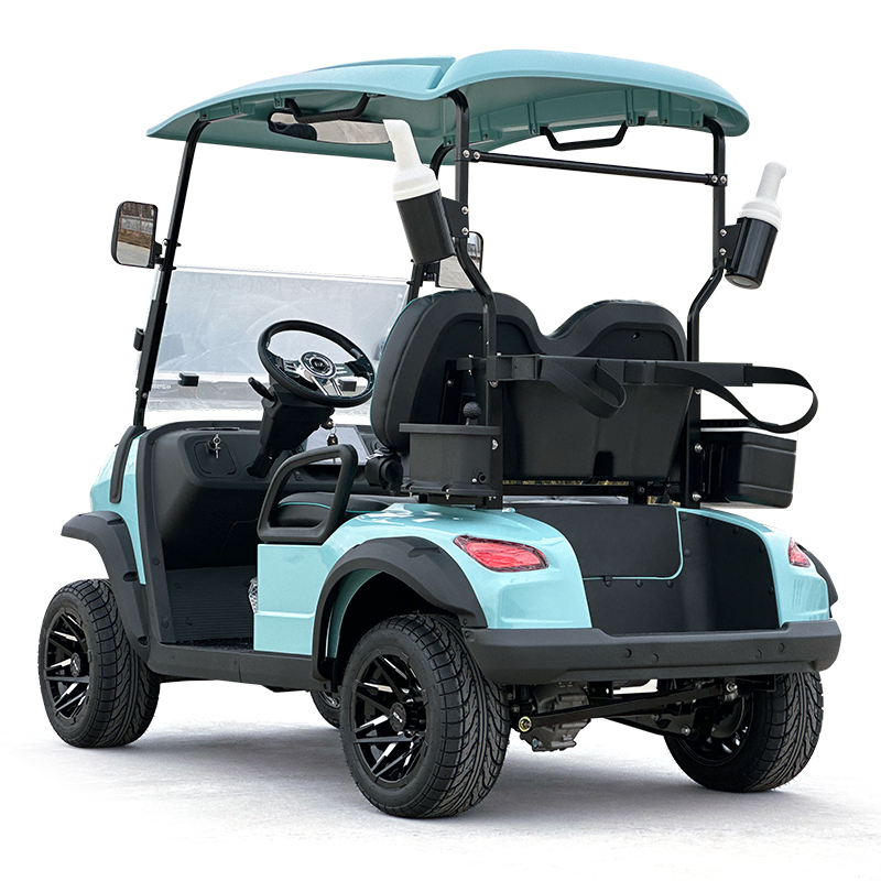 Style C 2 seats golf cart baby blue