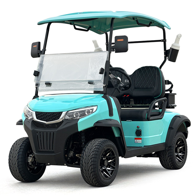 Style C 2 seats golf cart mint green