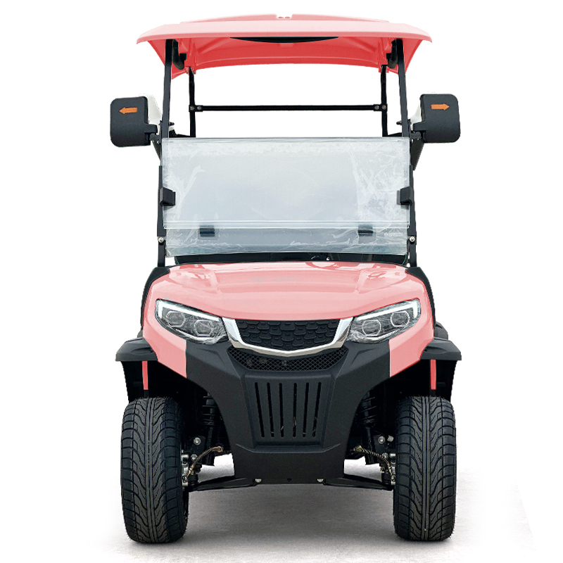 Style C 2 seats golf cart pink