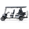 Aerfa 4+2 Seats Golf Cart Smoky Gray 