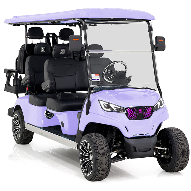 Aerfa 4+2 seats golf cart taro purple