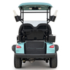 Style C 2 seats golf cart baby blue