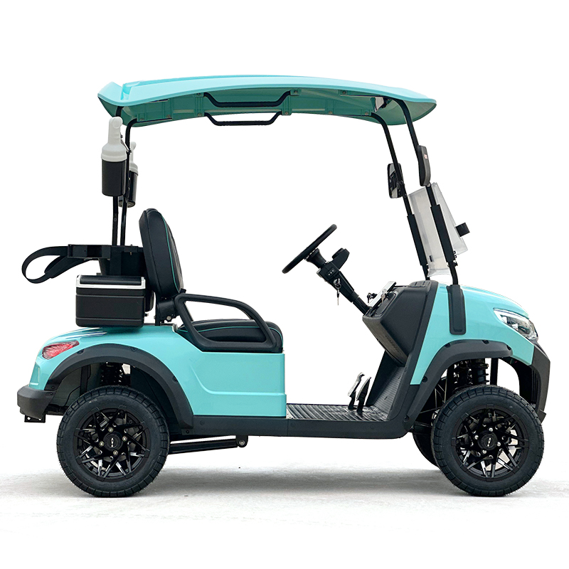 Style C 2 seats golf cart mint green