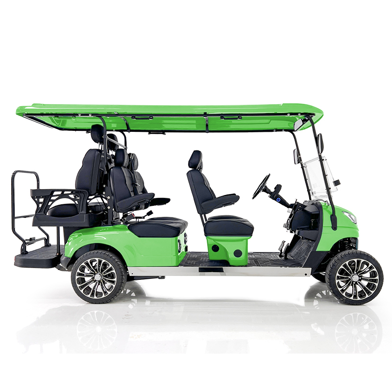 Aerfa 4+2 Seats Golf Cart Grass Green