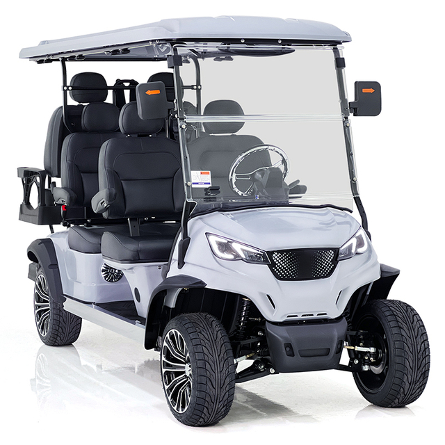 Aerfa 4+2 Seats Golf Cart Smoky Gray 